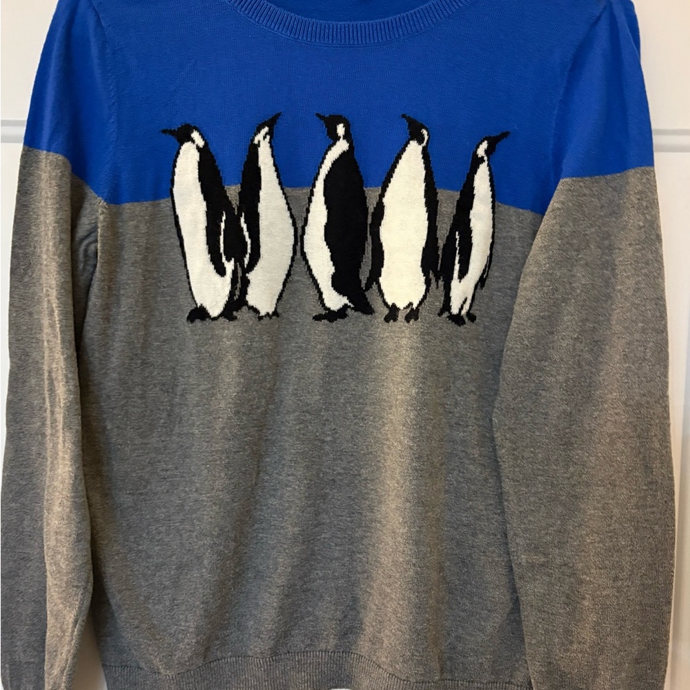 Blue and Grey Sweater with Penguin Design
